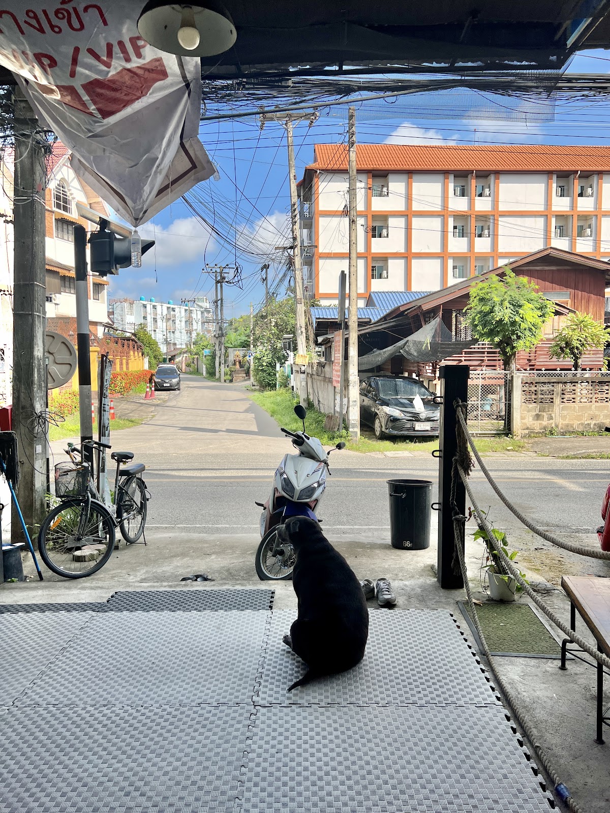 BBN Boxing Gym Chiangmai