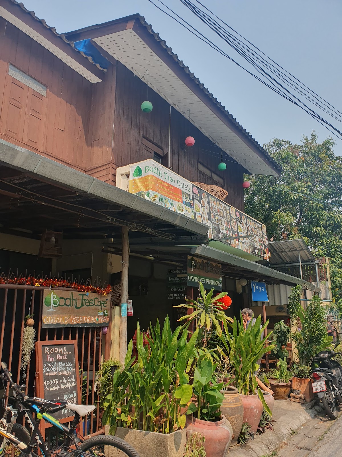 Bodhi Tree Yoga Studio photo 3