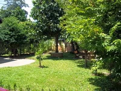 Body and Mind Healing photo 6