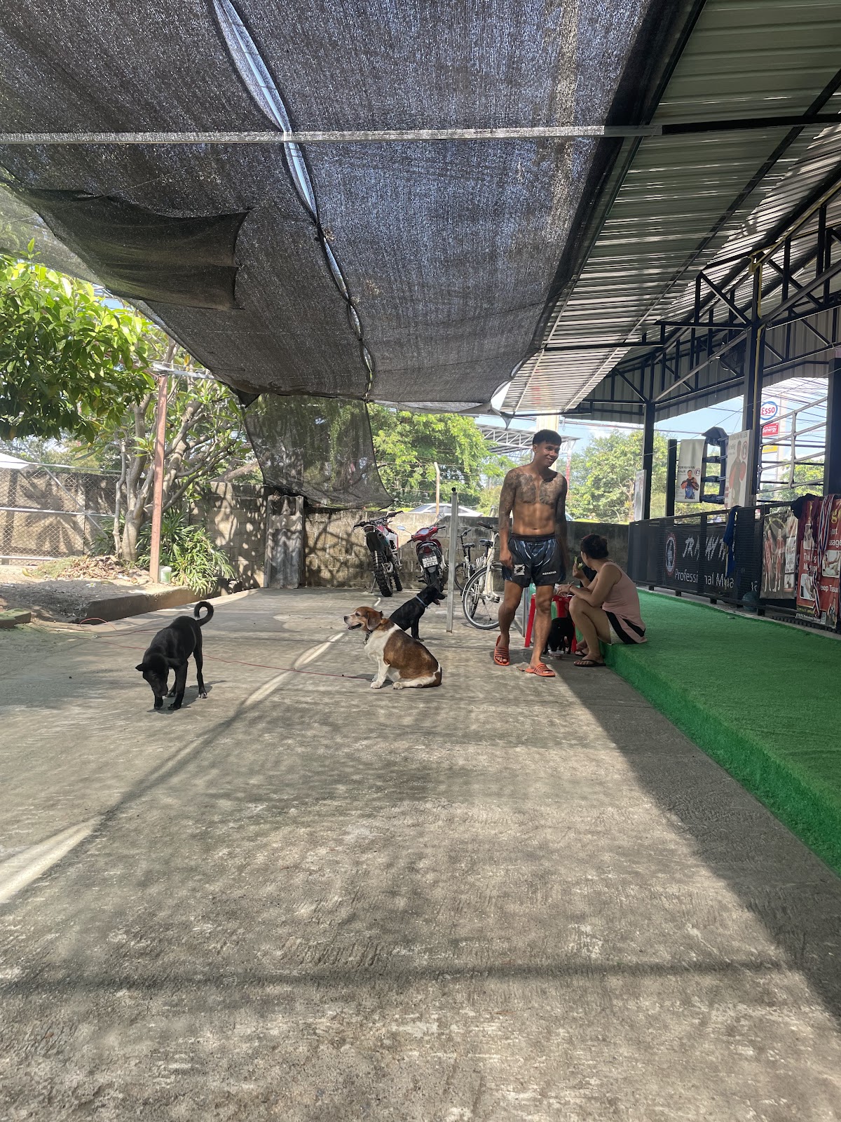 Chiang Mai JR Muay Thai photo 3