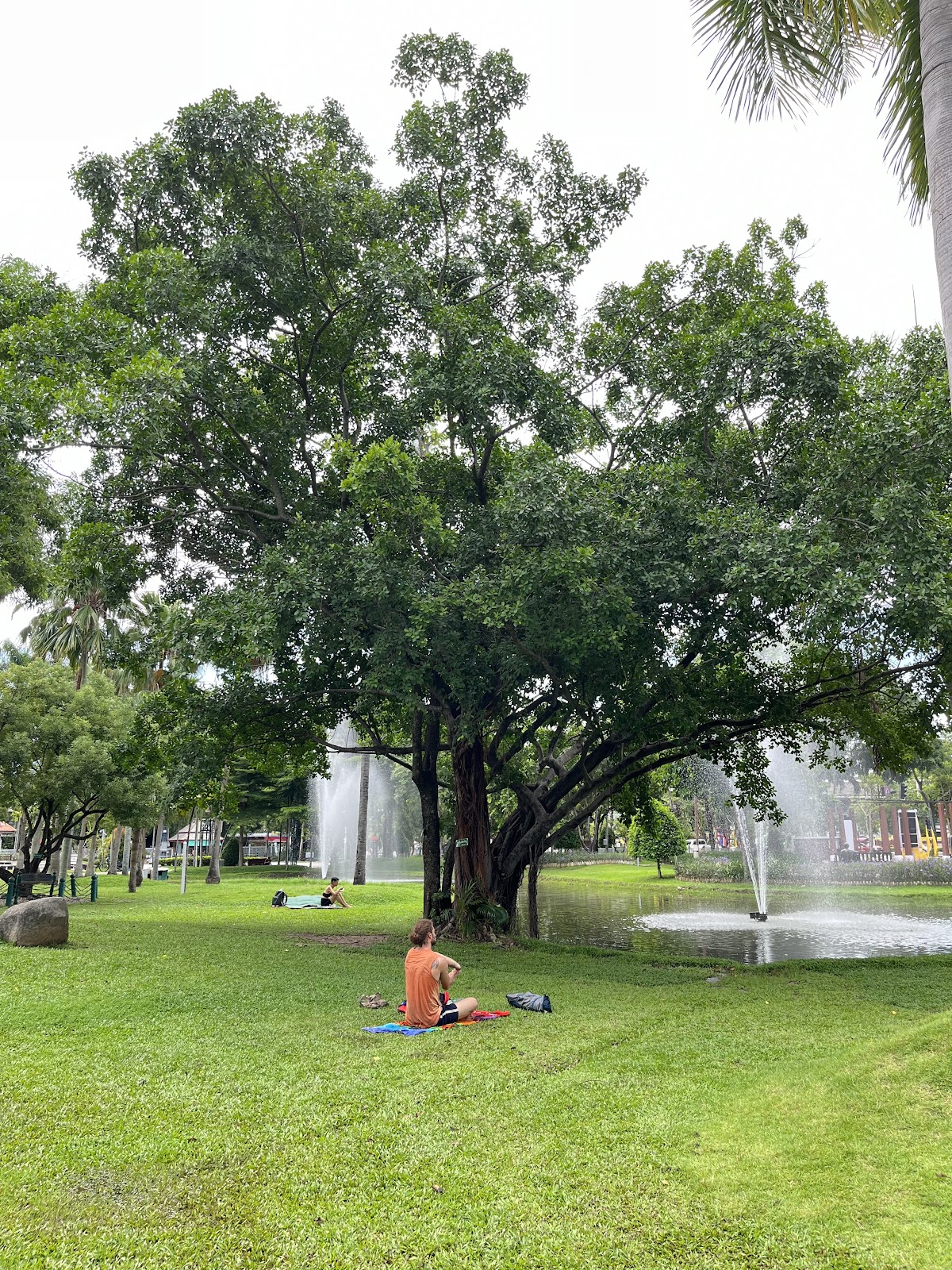 ChiGong every morning at 6:am, or earlier