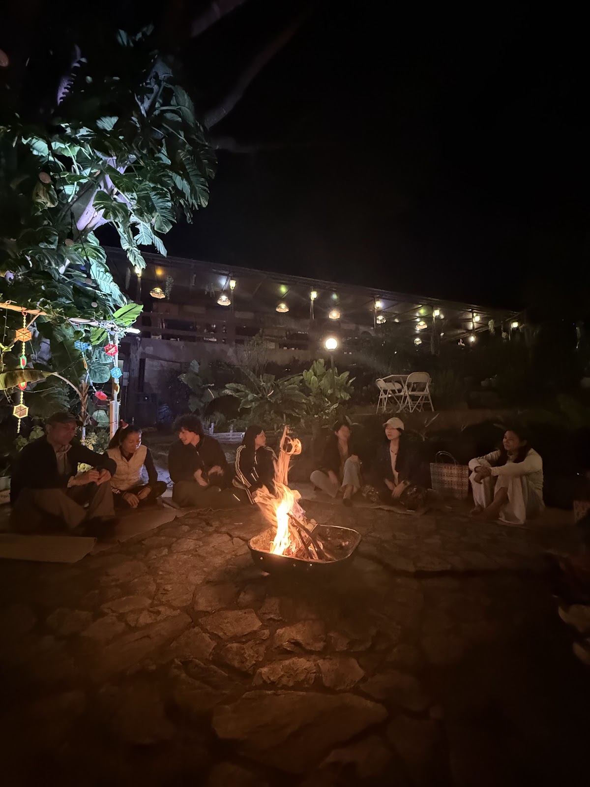 Cypress Nest photo 6