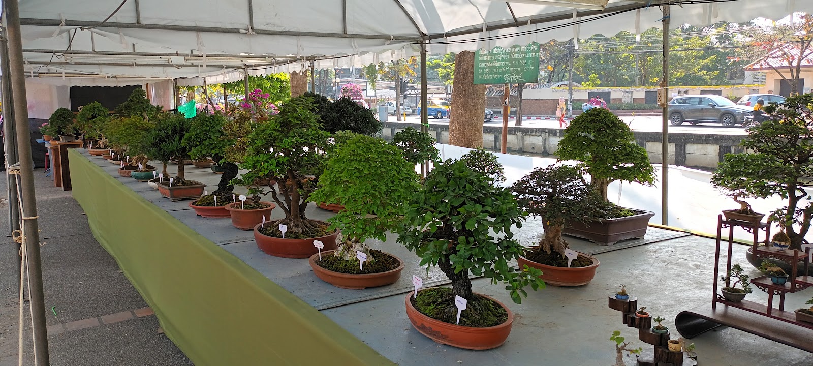 Excercise bar calisthenics photo 3