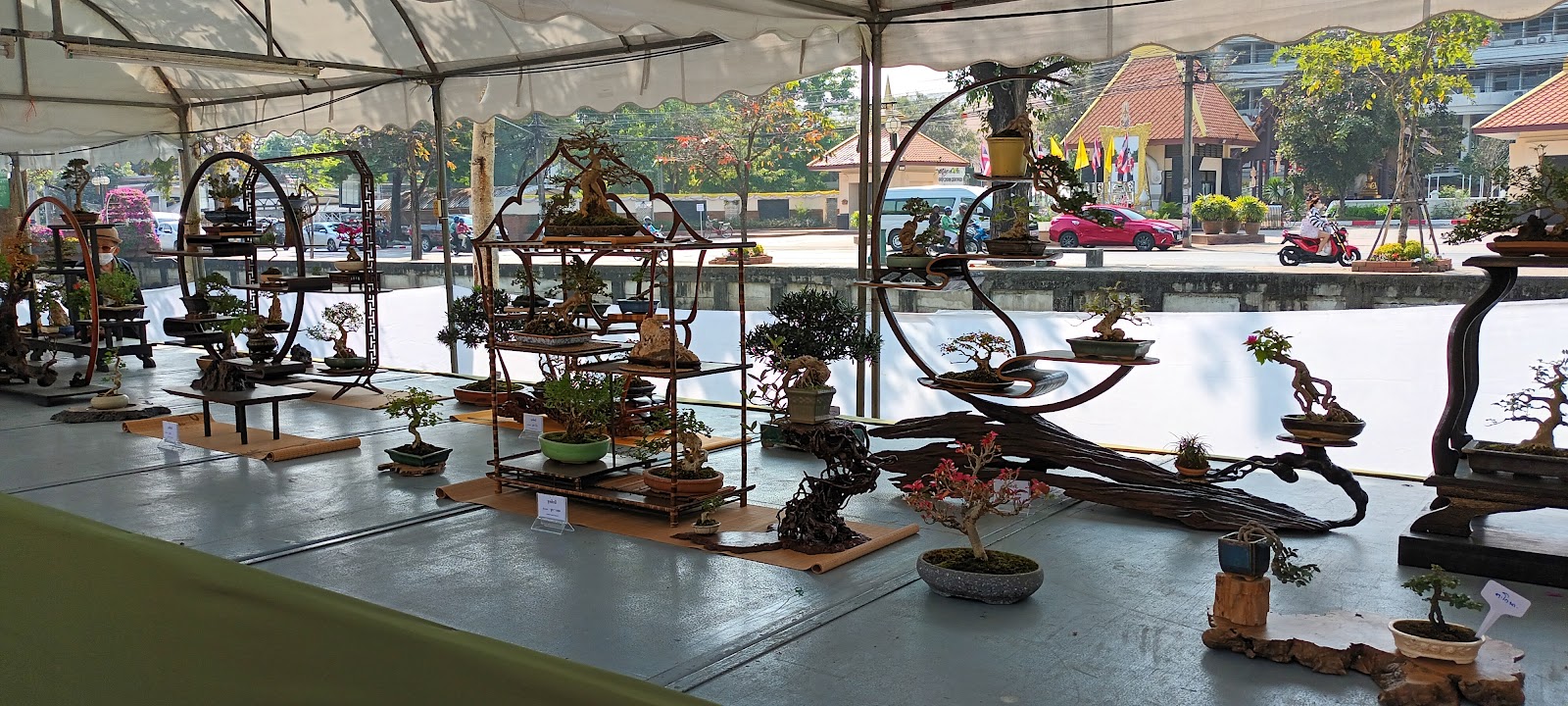 Excercise bar calisthenics photo 5