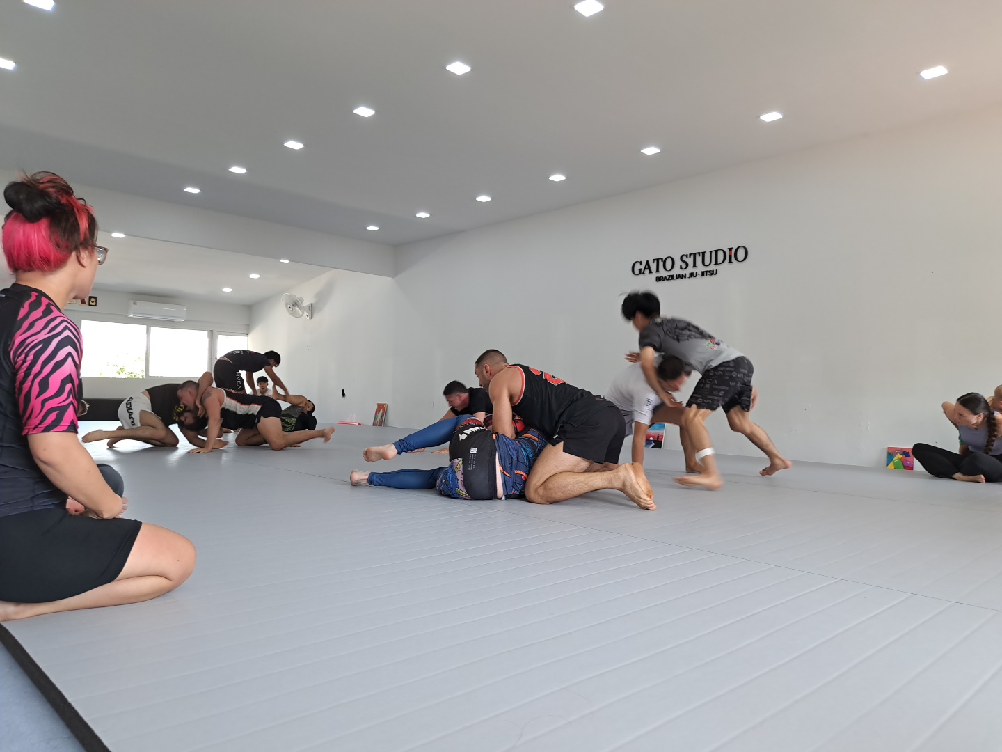 Gato Studio BJJ