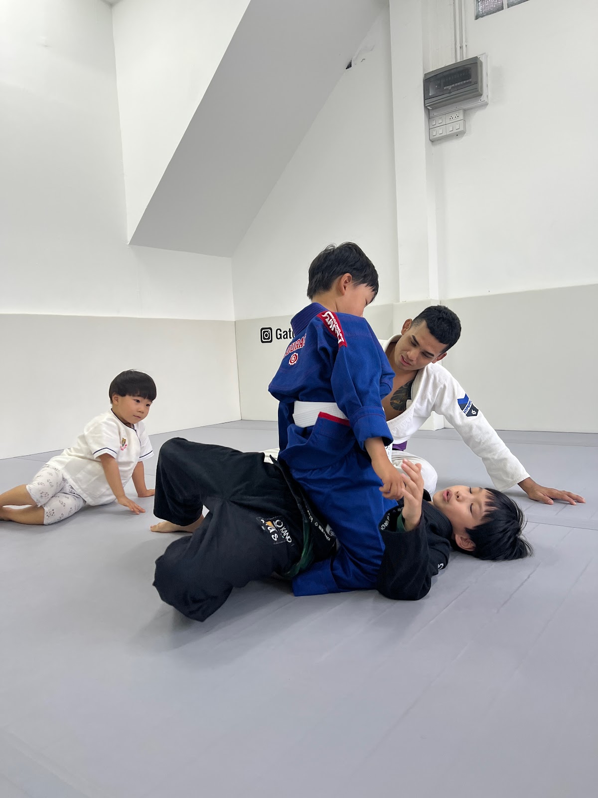 Gato Studio BJJ