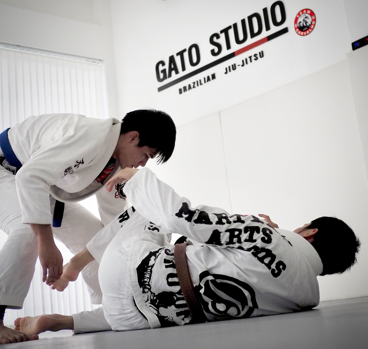 Gato Studio BJJ photo 3