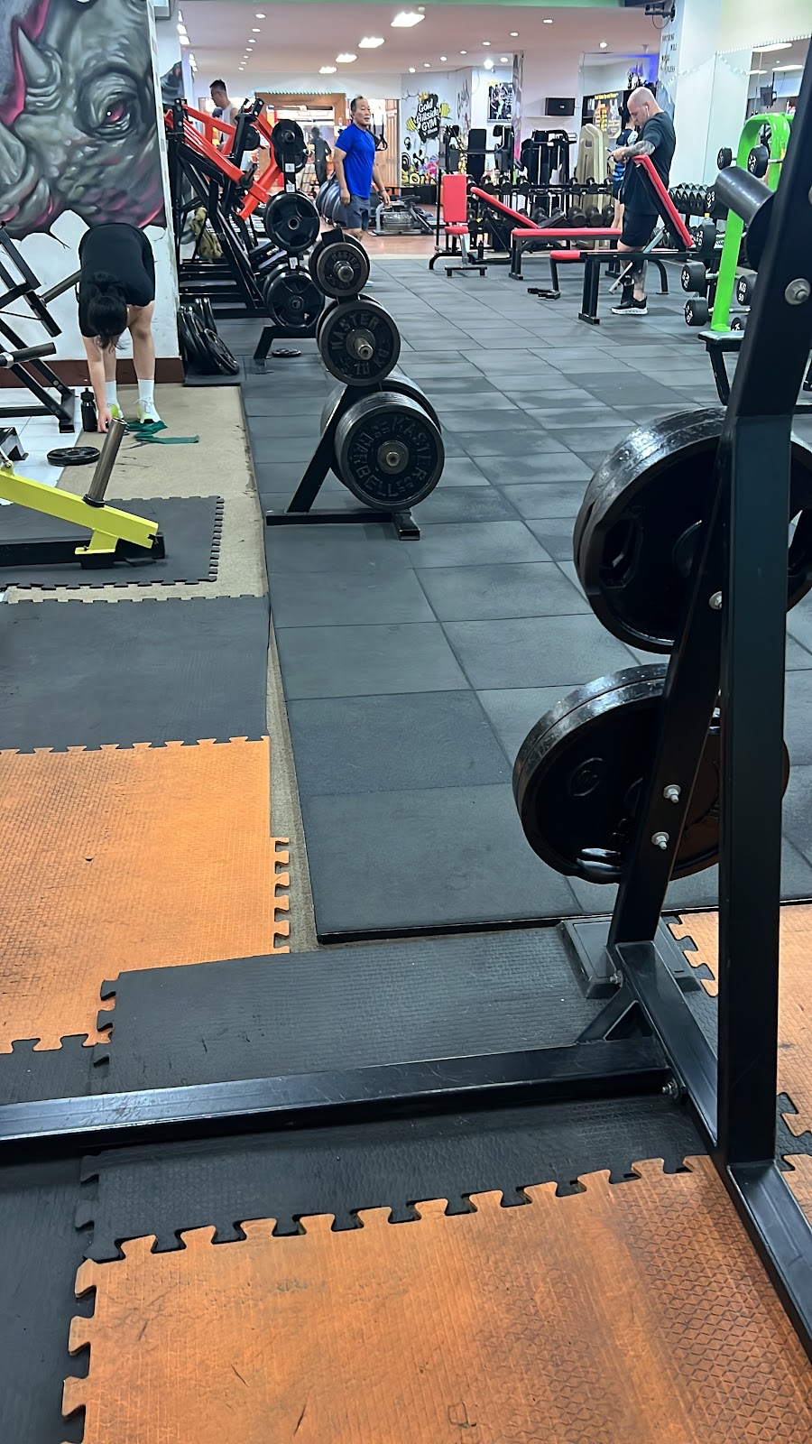 Gold Hillside gym and fitness photo 8