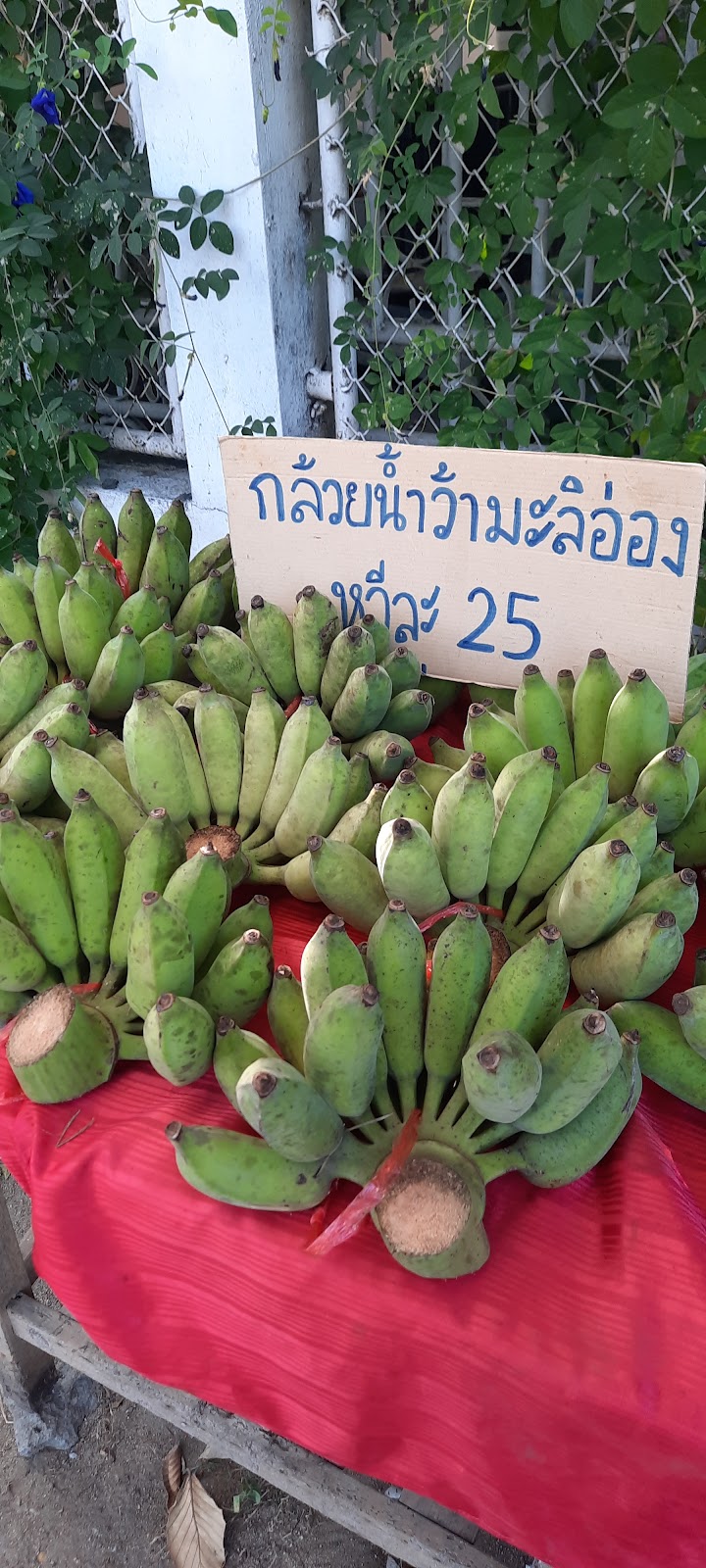 Jungo Pilates Studio