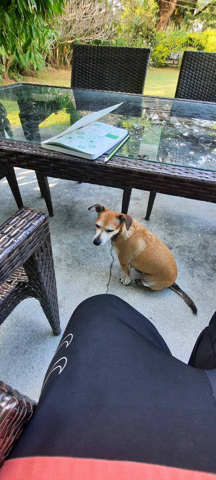 Jungo Pilates Studio photo 5