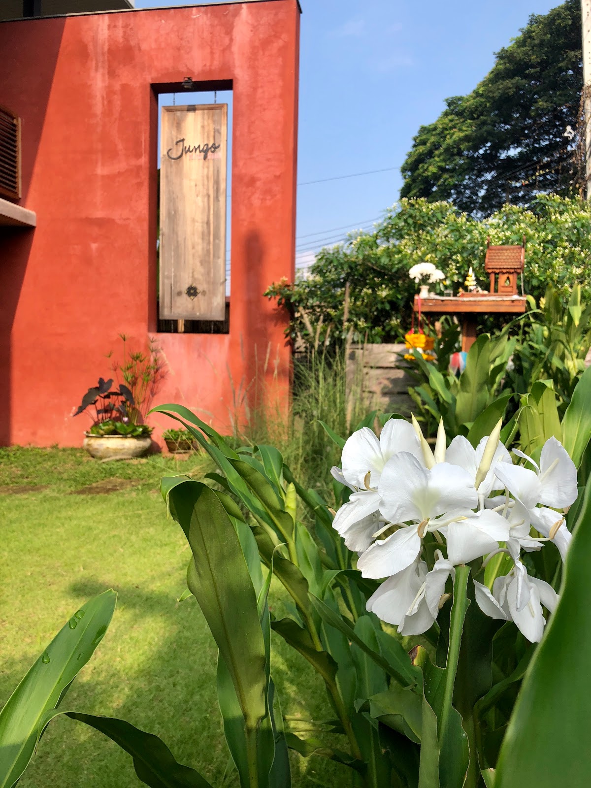 Jungo Pilates Studio photo 6