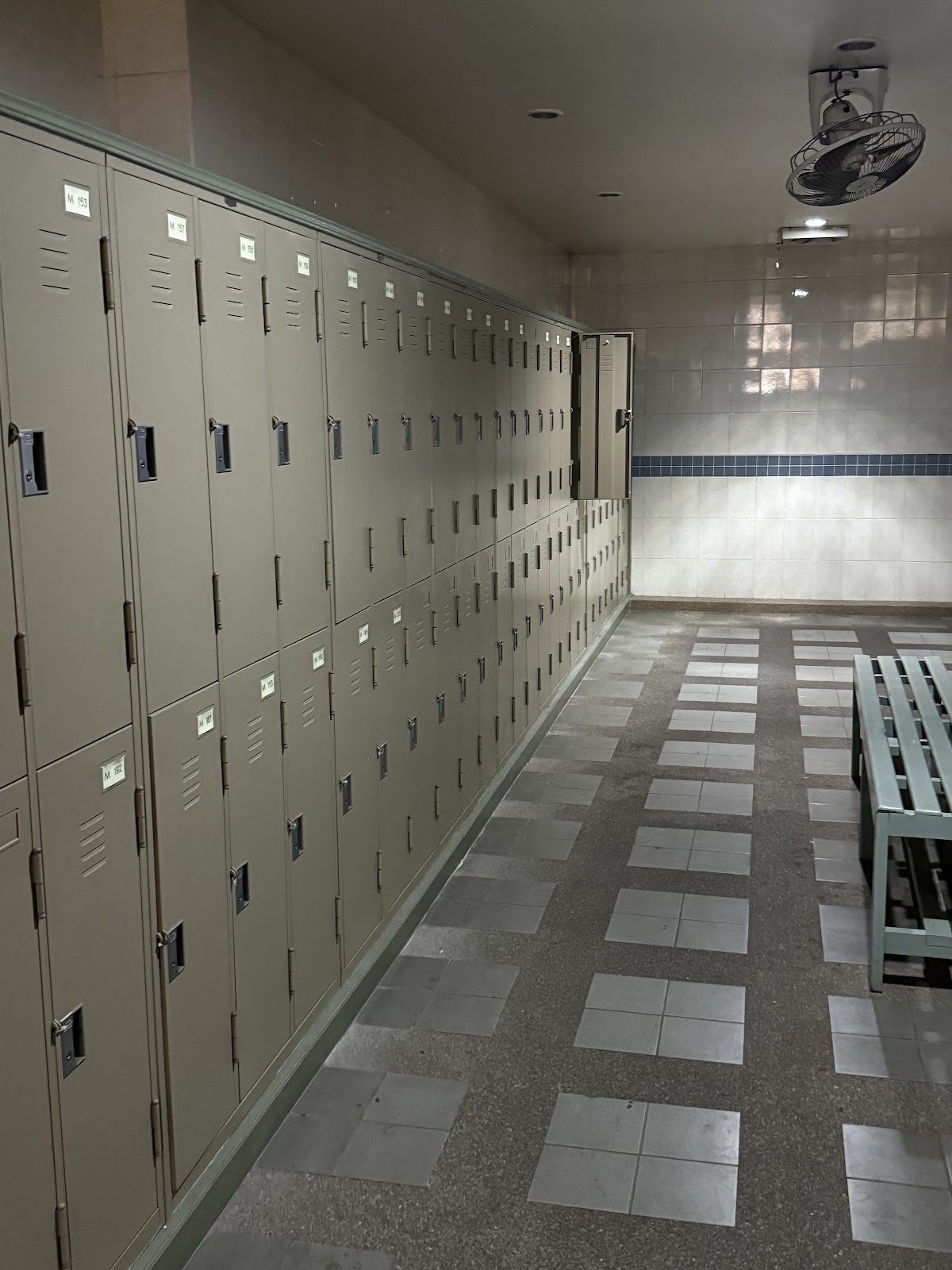 Lazy Leopard BJJ and MMA photo 4