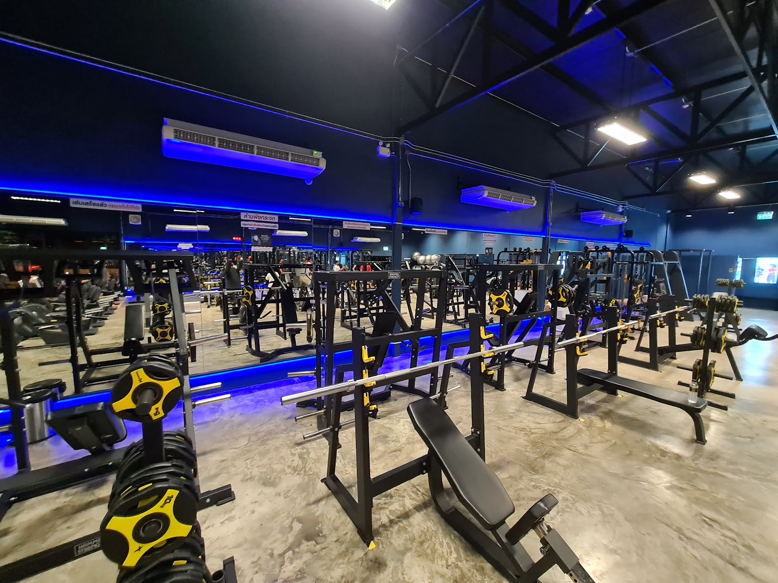 Lion Fitness