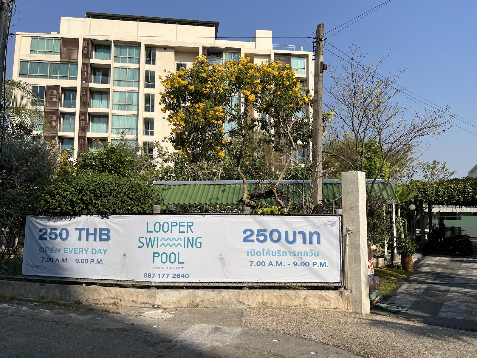 Looper Swimming Pool photo 8