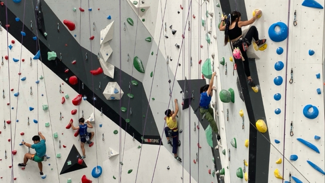 Main Wall Climbing Gym
