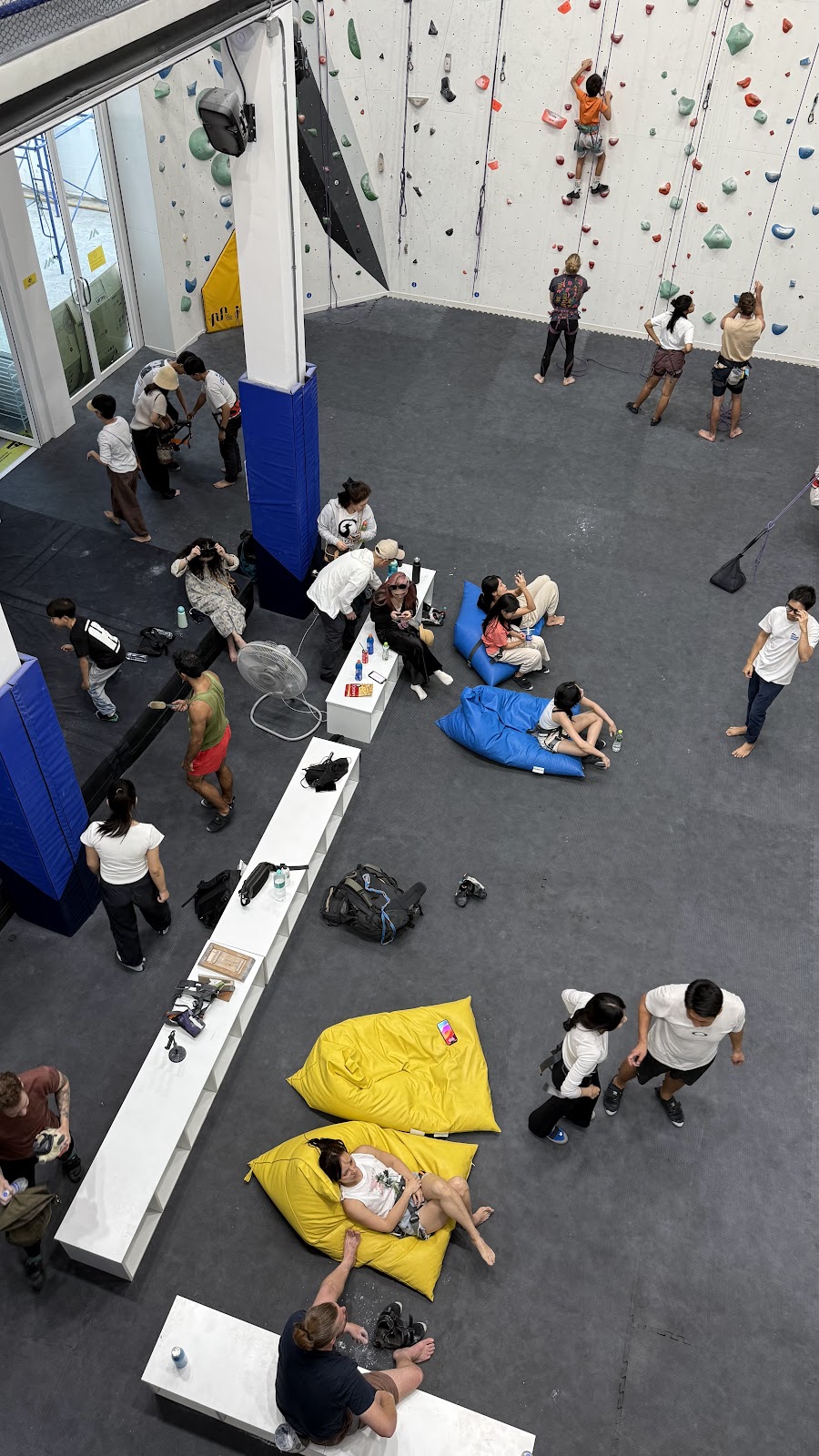 Main Wall Climbing Gym photo 3