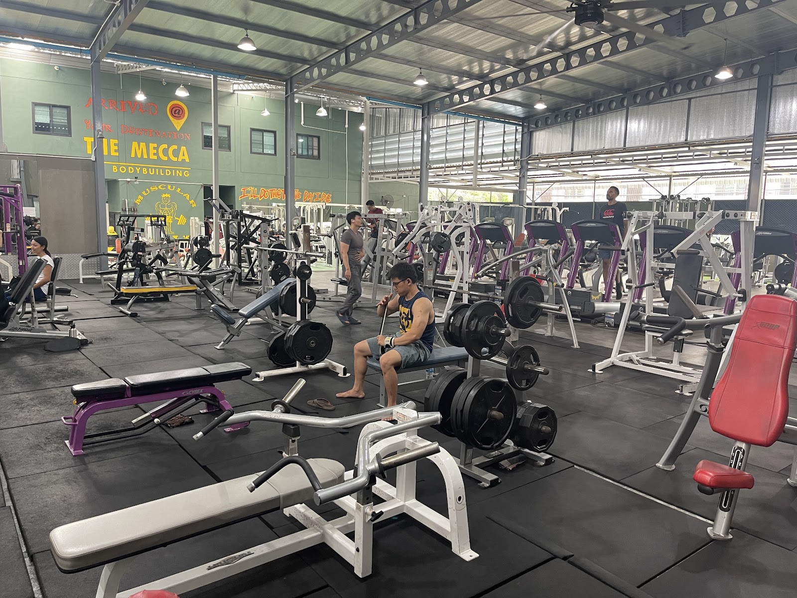 MUSCULAR LAIR