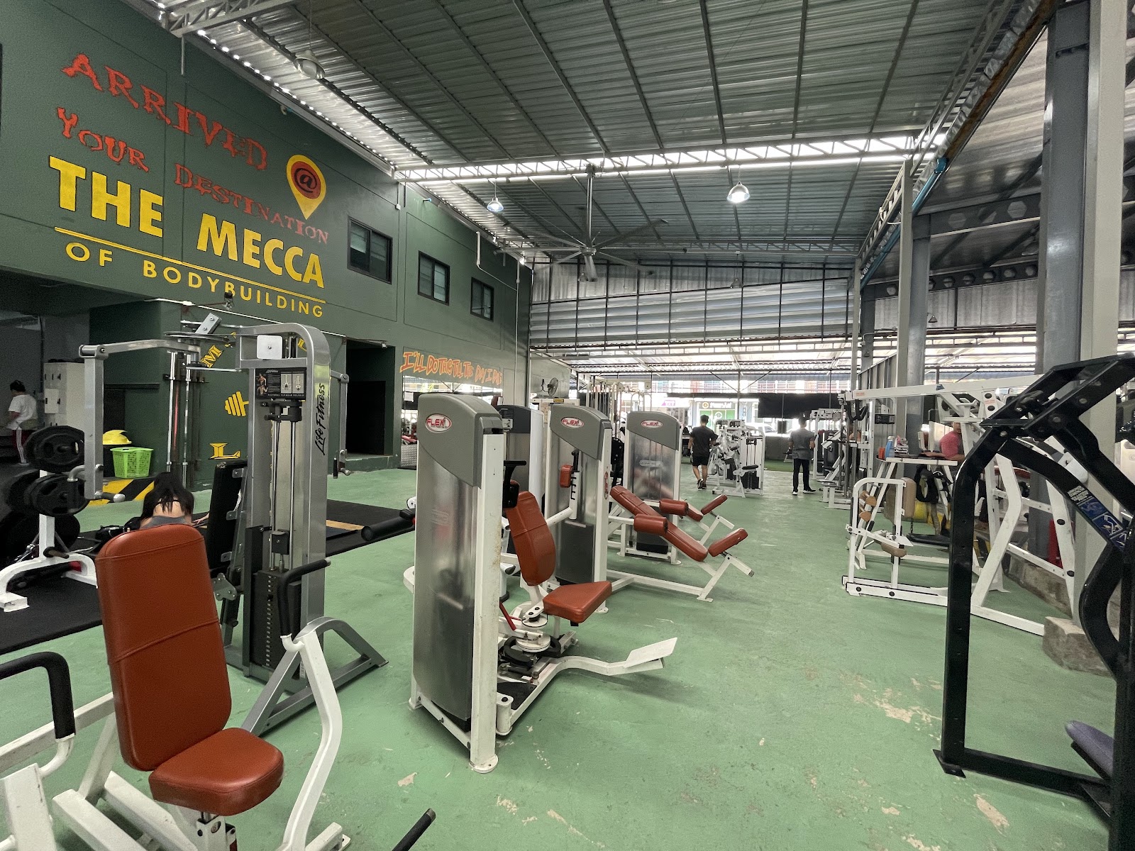 MUSCULAR LAIR