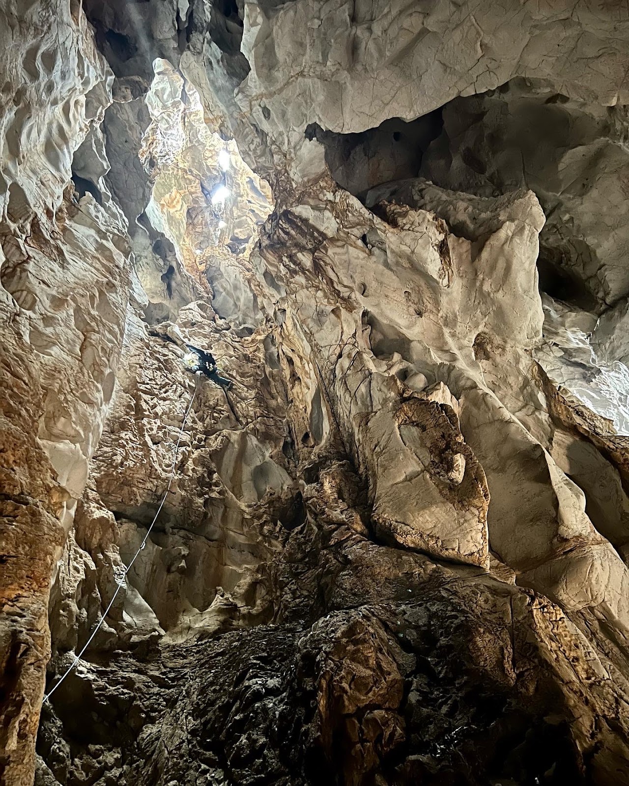 Progression Vertical Climbing Gym photo 6