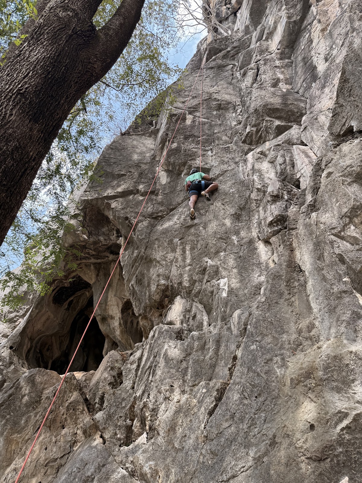 Progression Vertical Climbing Gym photo 7