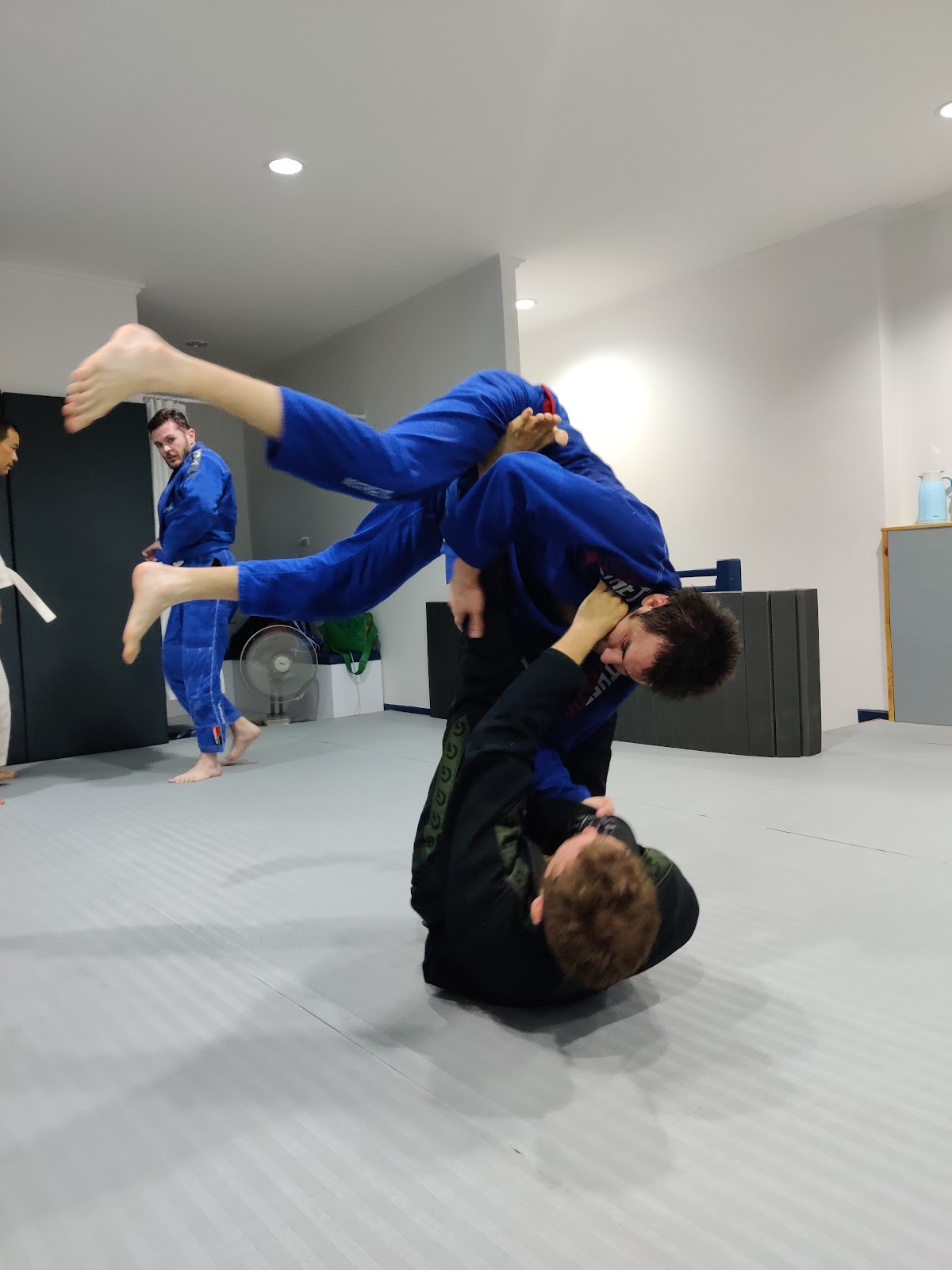 Pure Grappling Chiang Mai photo 4