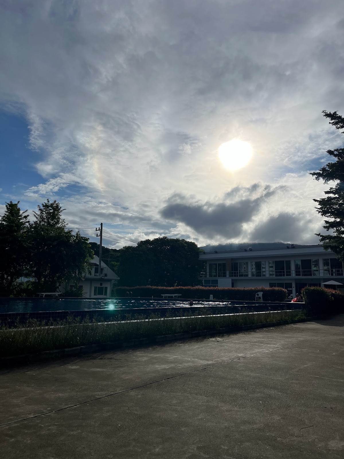 Sunflower Yoga Studio photo 7