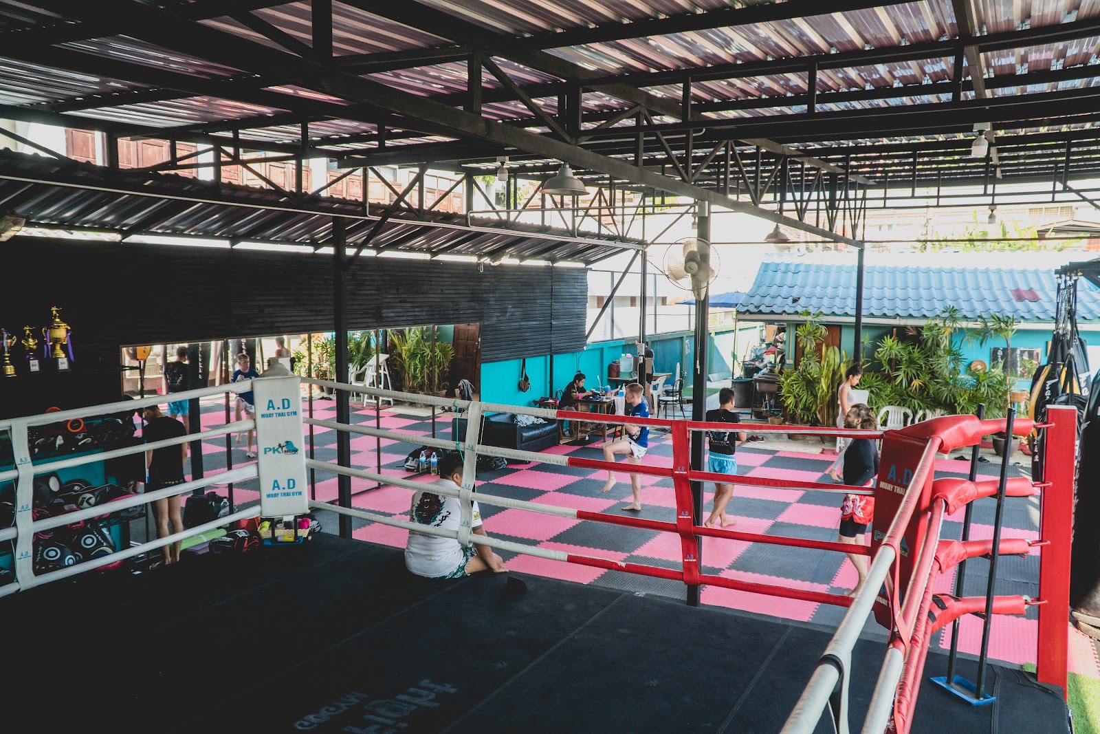 The Bear Fight Club Muay Thai Chiangmai photo 6