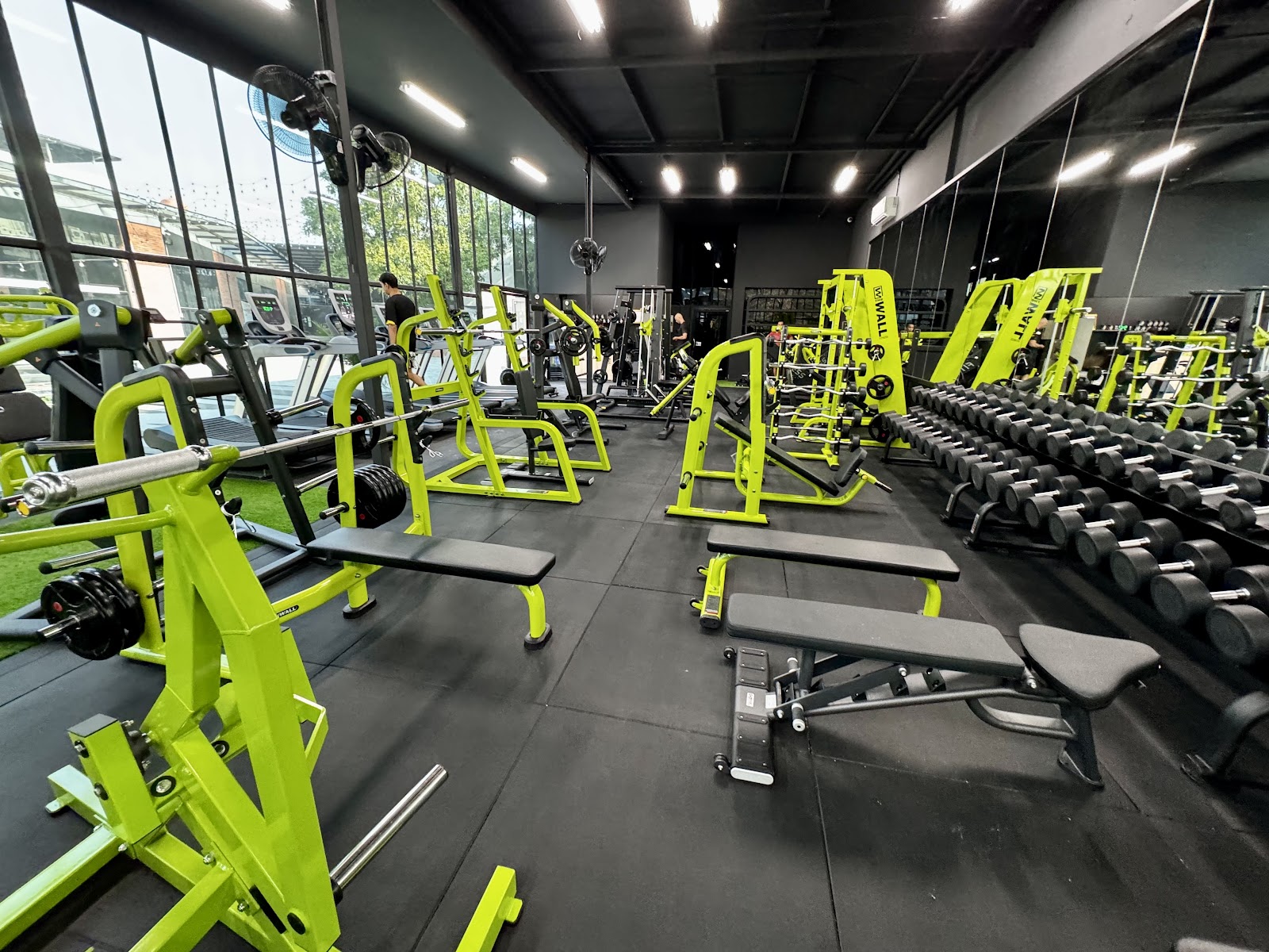 The Wall Fitness
