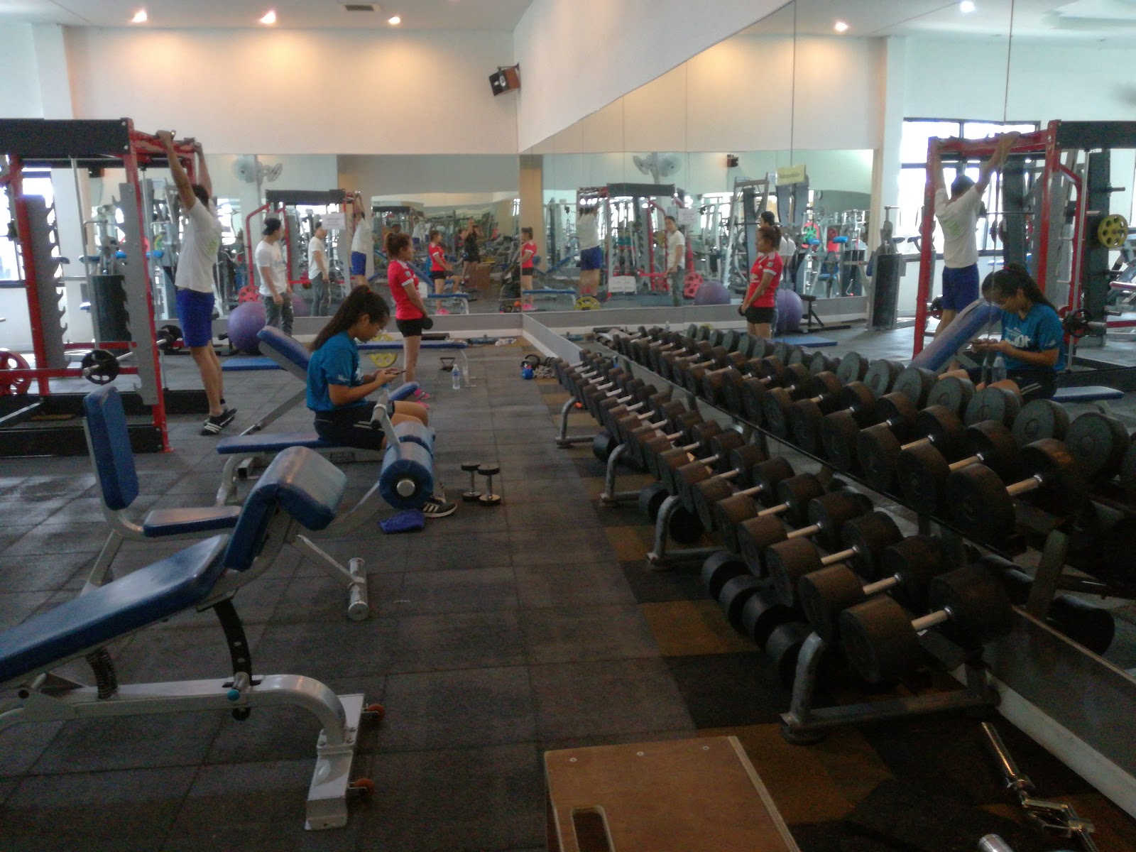 T.M. Muscle Gym